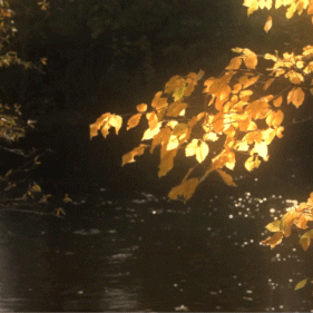 nature_travel.gif
